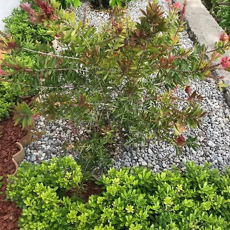 Sweet Dreams - Appartamento